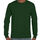 Highlands_Olive