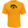 Gold,_Yellow