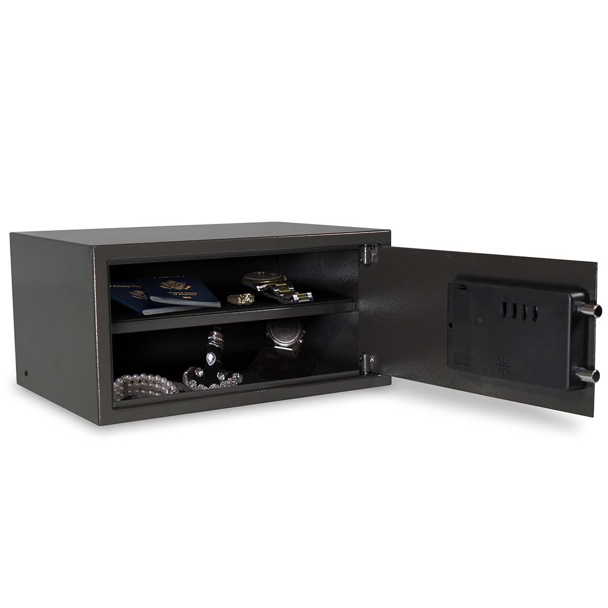 Sanctuary Large Dig Low Profile Vault