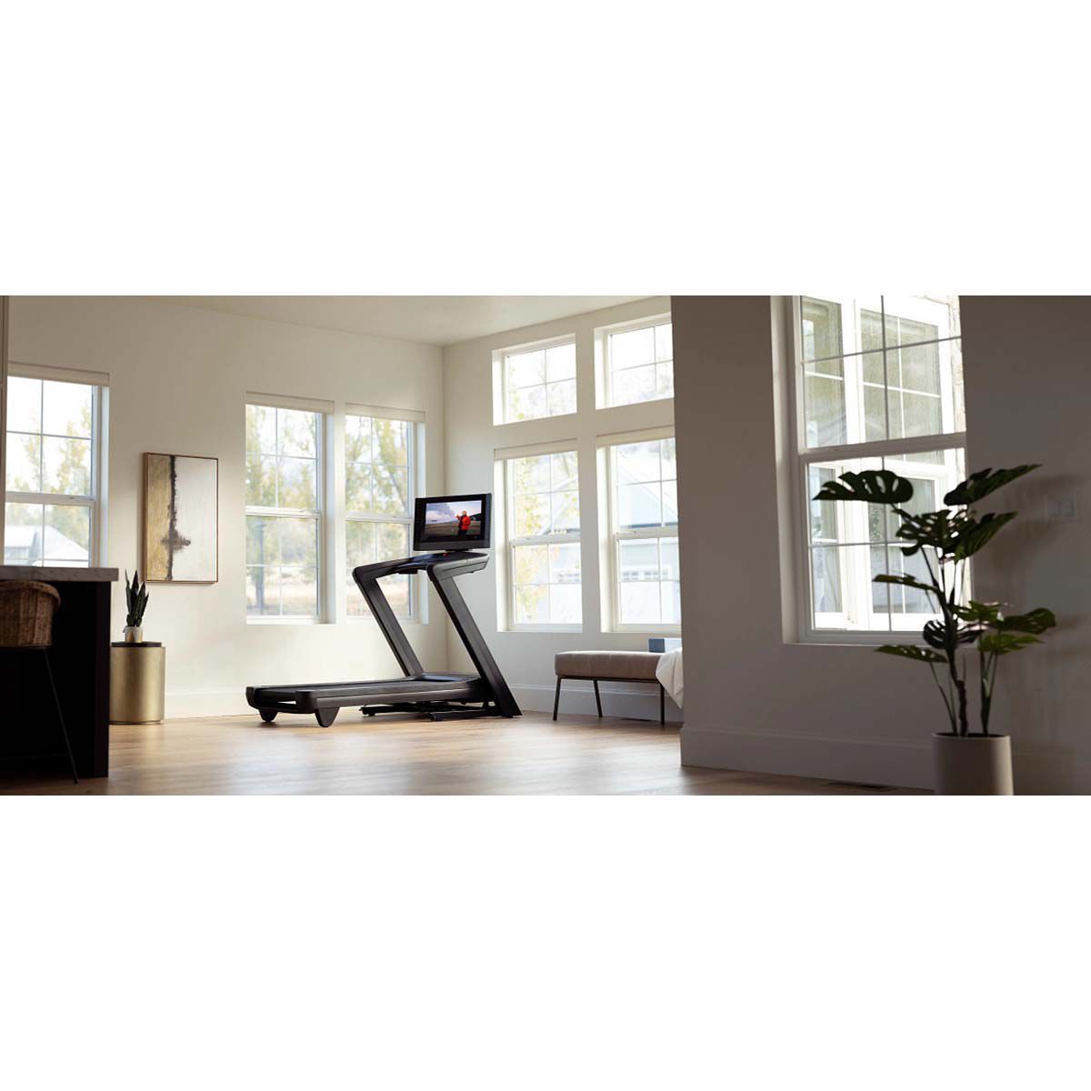 NordicTrack Commercial 2450 Treadmill with 30-day iFit Membership with Purchase
