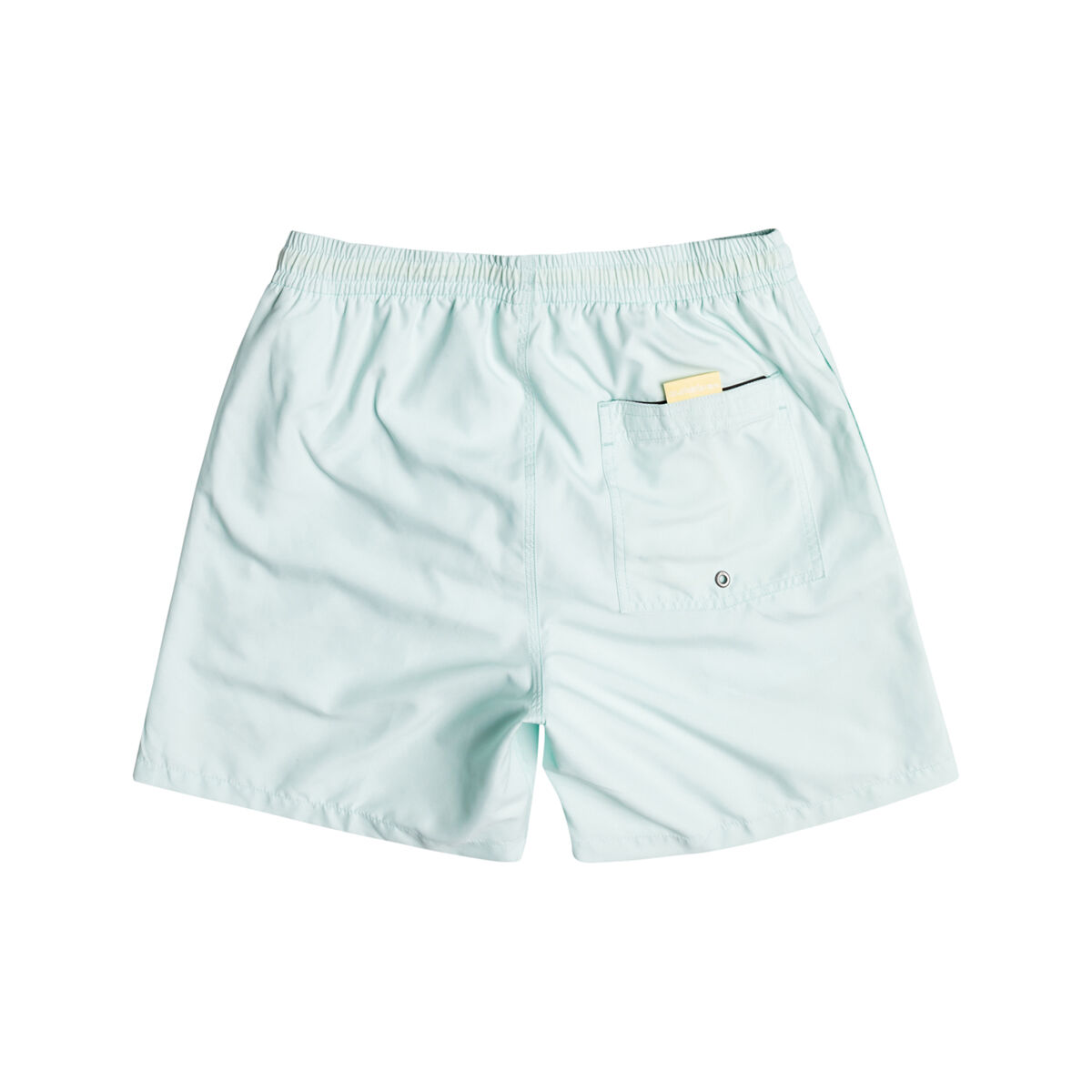 Quiksilver Men's Everyday 17" Volleys