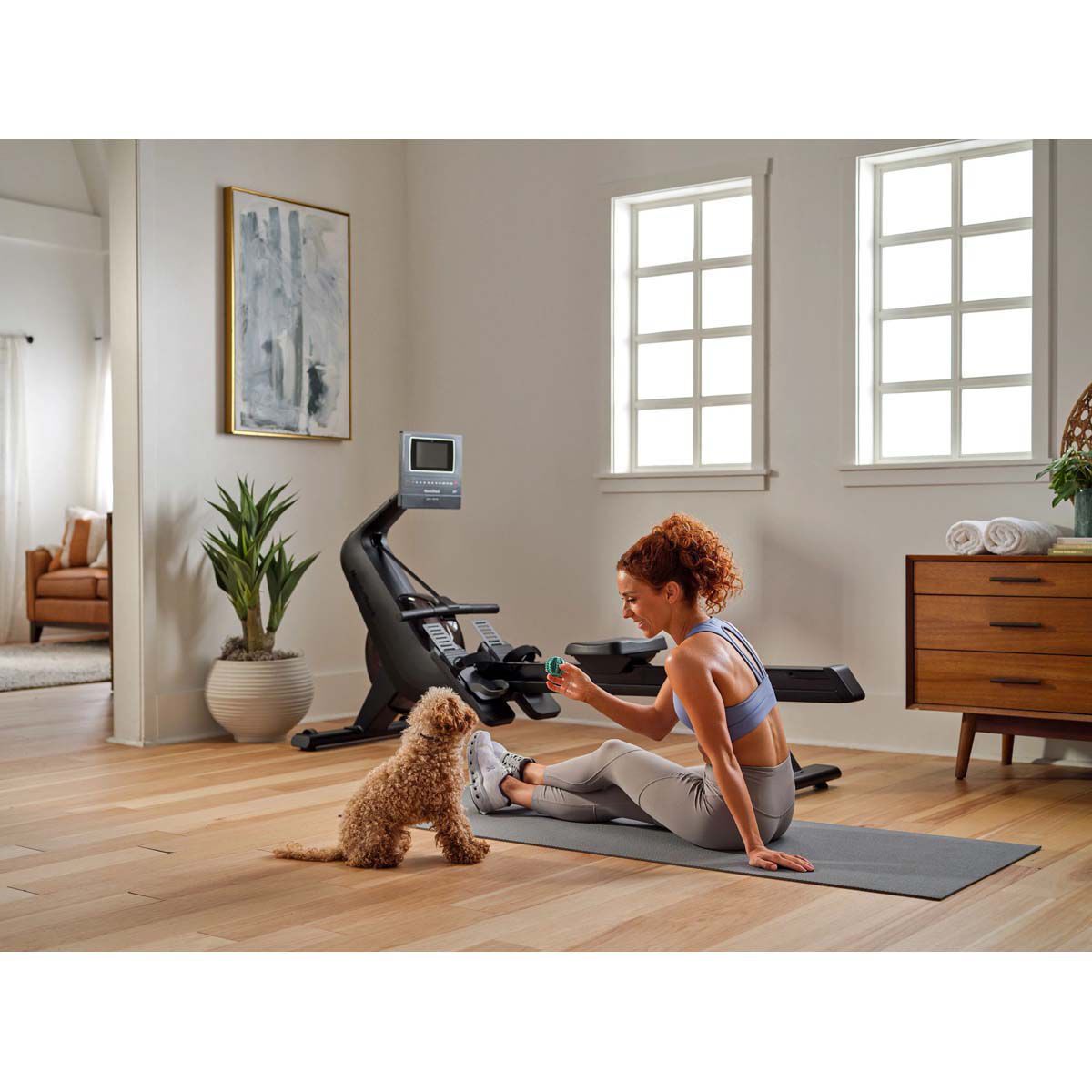 NordicTrack RW600 Rower