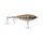 Bluegill