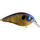 Bluegill