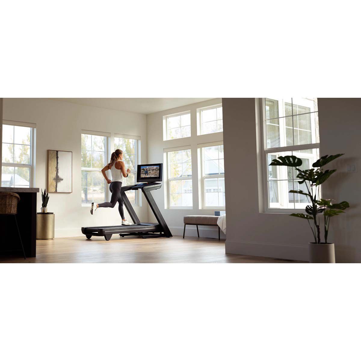 NordicTrack Commercial 2450 Treadmill with 30-day iFit Membership with Purchase