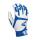 White/Royal