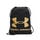Black/Gold