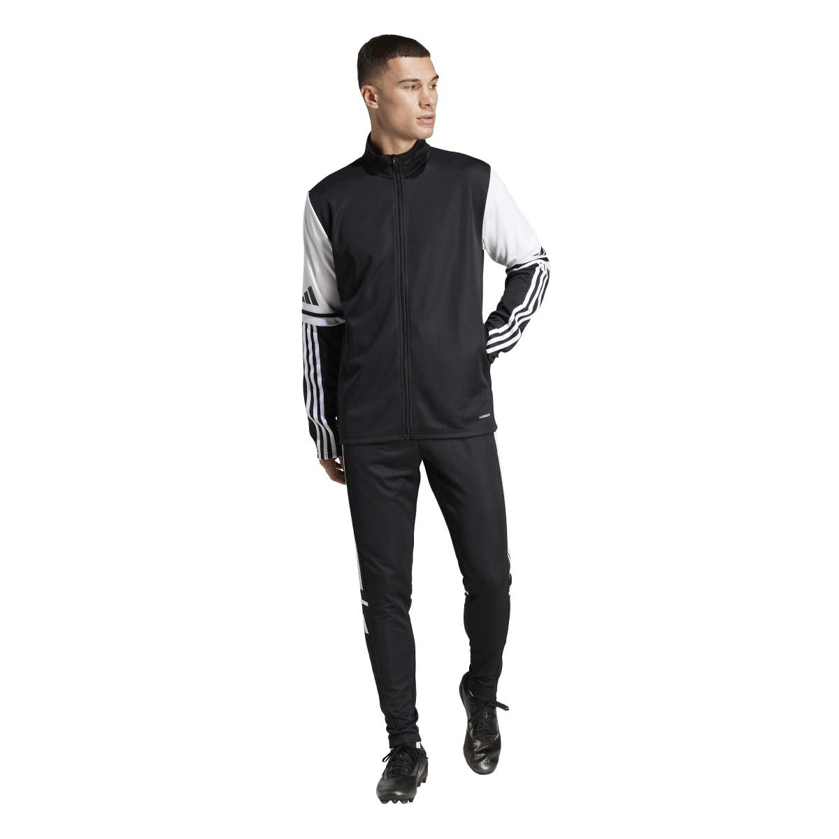adidas Men's Squadra Training Jacket