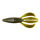 Green_Pumpkinseed
