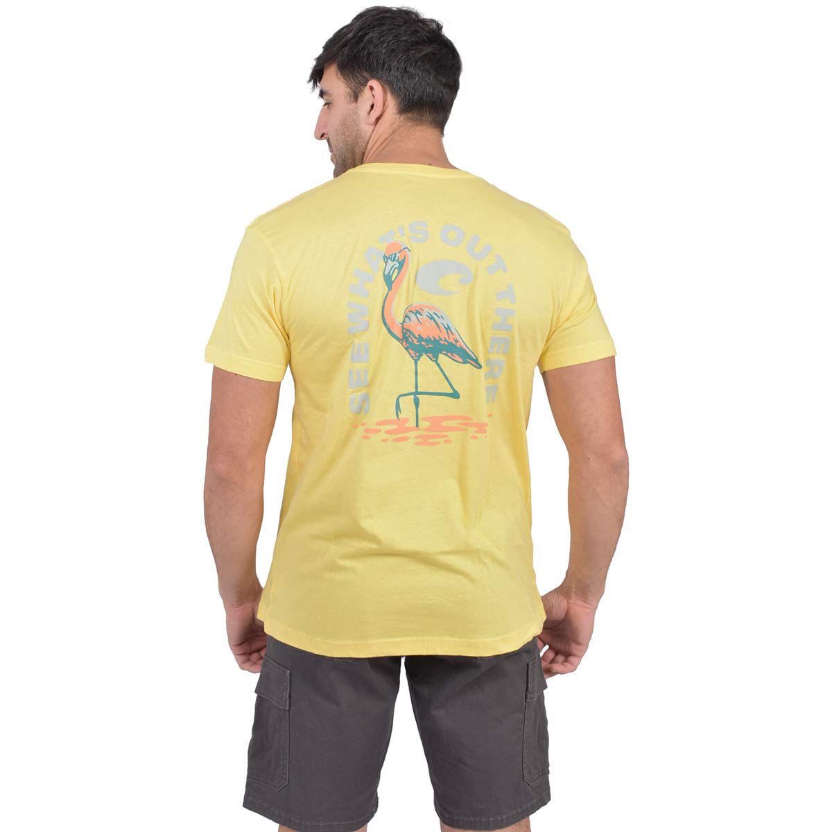 Costa Men's Flamingo Tee