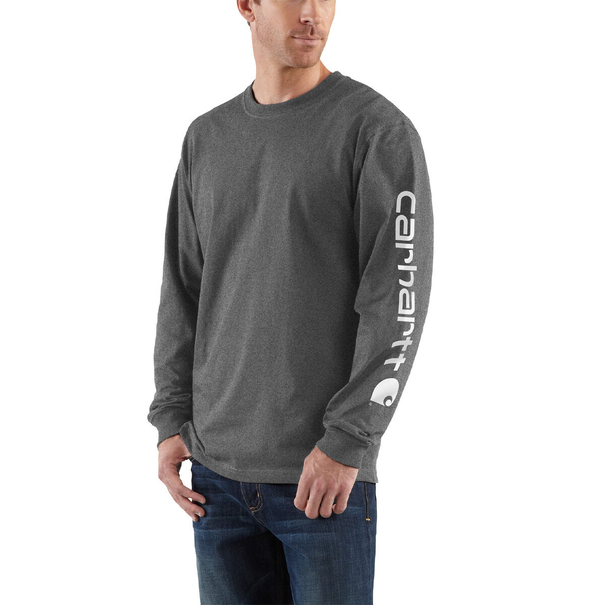 Carhartt Loose Fit Heavyweight Long-Sleeve Logo Sleeve Graphic T-Shirt