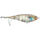 Bluegill