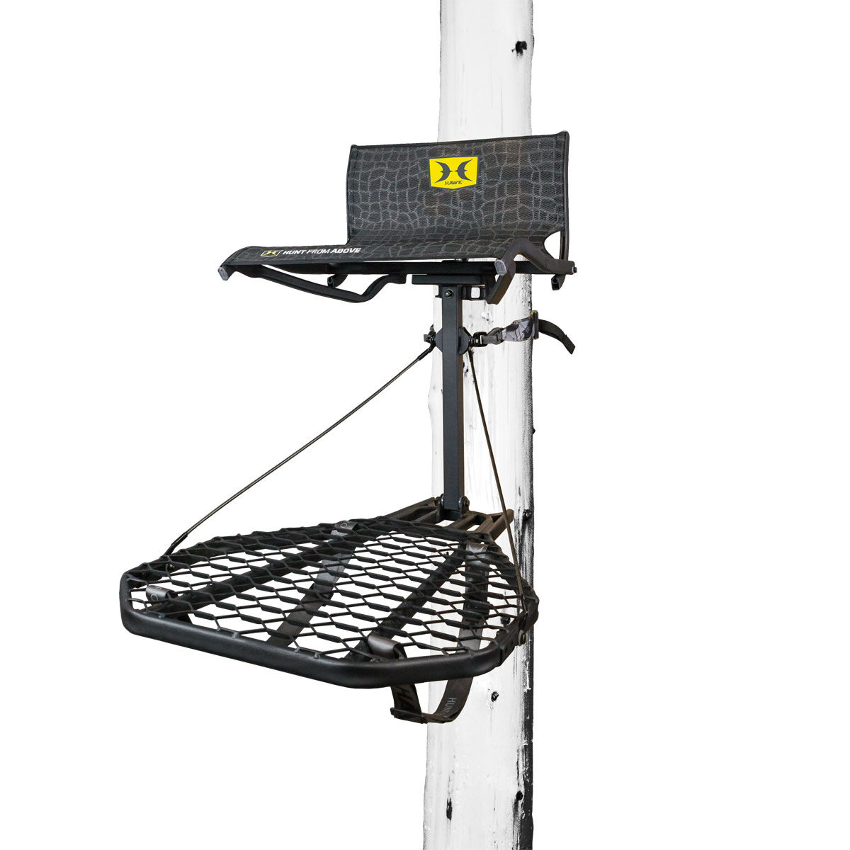 Hawk Hawk Cruzr Hang-on