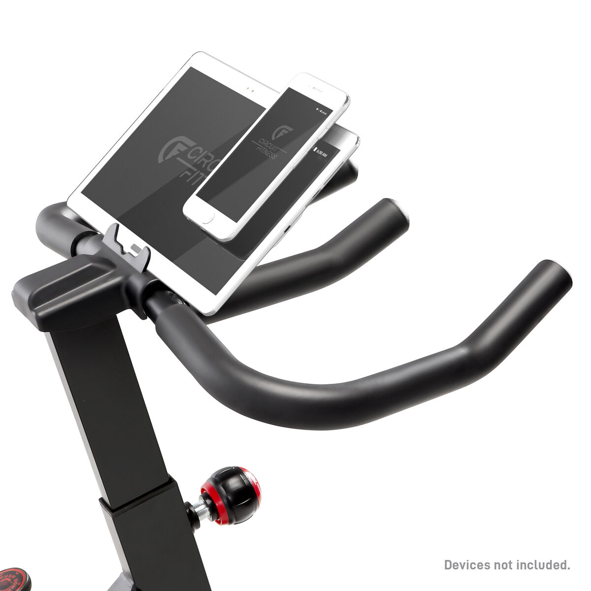 Circuit Fitness 30lb Revolution Cycle