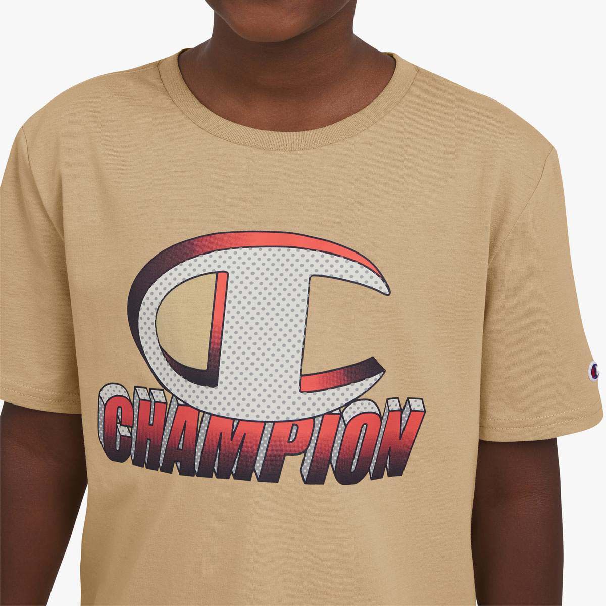 Champion Boys' 3D Block Tee