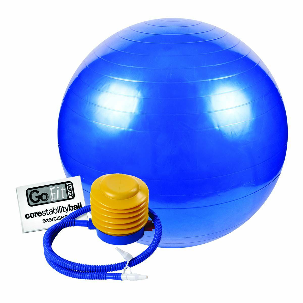 Go Fit 75cm Exercise Ball