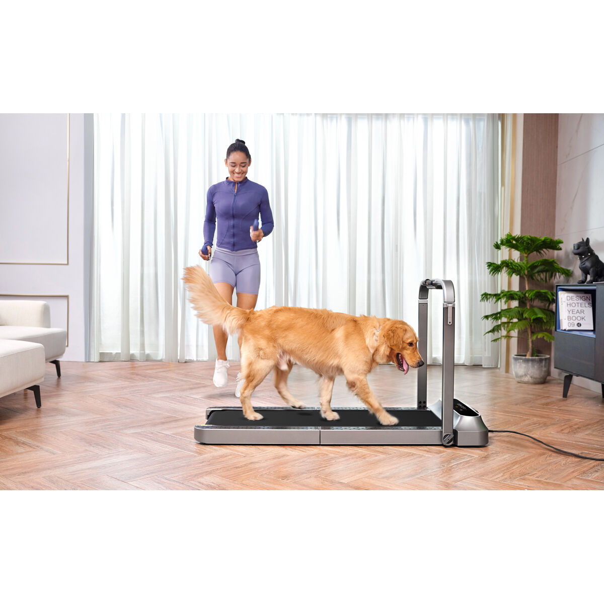 Kingsmith Fit WalkingPad R2