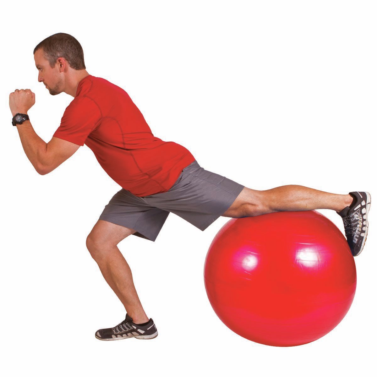 Go Fit 55cm 1000lb Capacity Exercise Ball with Pump & Training Poster
