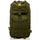 Highlands_Olive