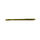 Green_Pumpkinseed