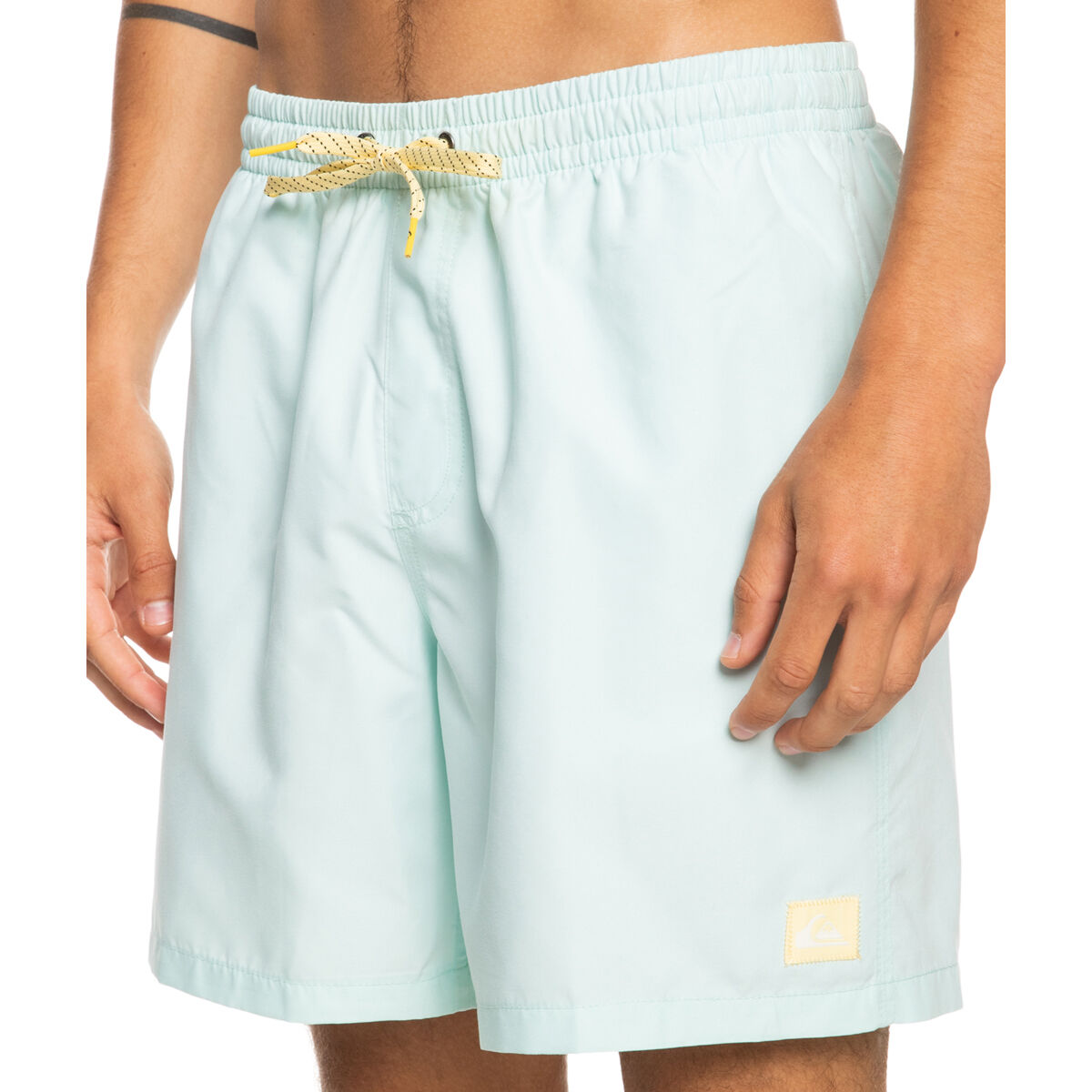 Quiksilver Men's Everyday 17" Volleys
