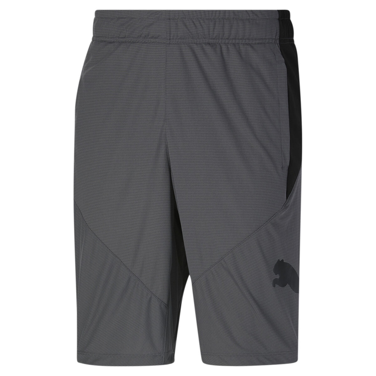 Puma Men's Puma Cat Shorts
