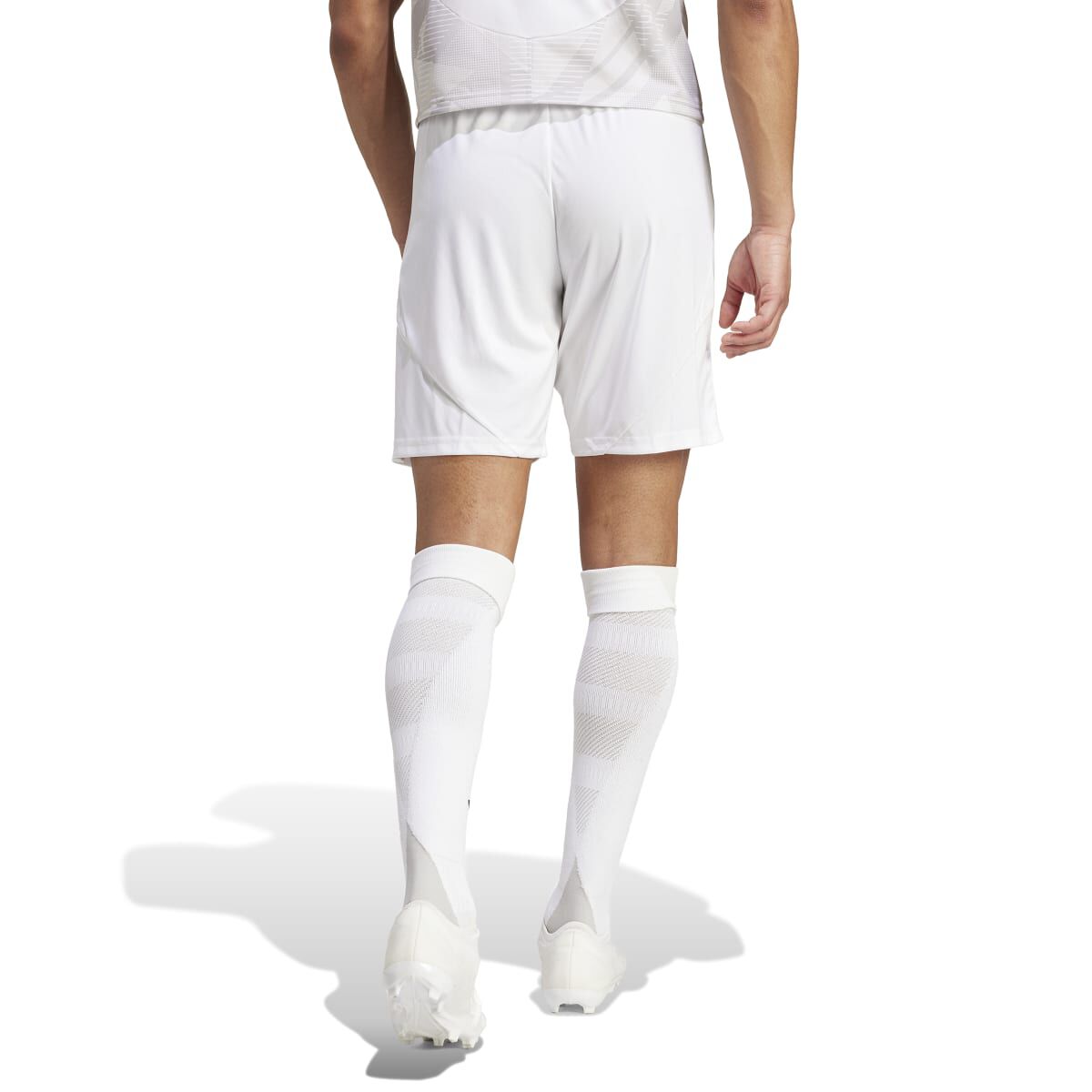 adidas Men's Tiro 24 Shorts
