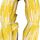 Alpine_Gold