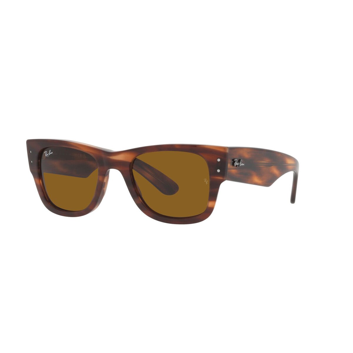 Ray Ban Evolution UV Protected Sunglasses