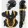 Black/Gold