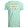 Lt_Green,Mint,Fern,Seafom