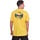 Gold,_Yellow