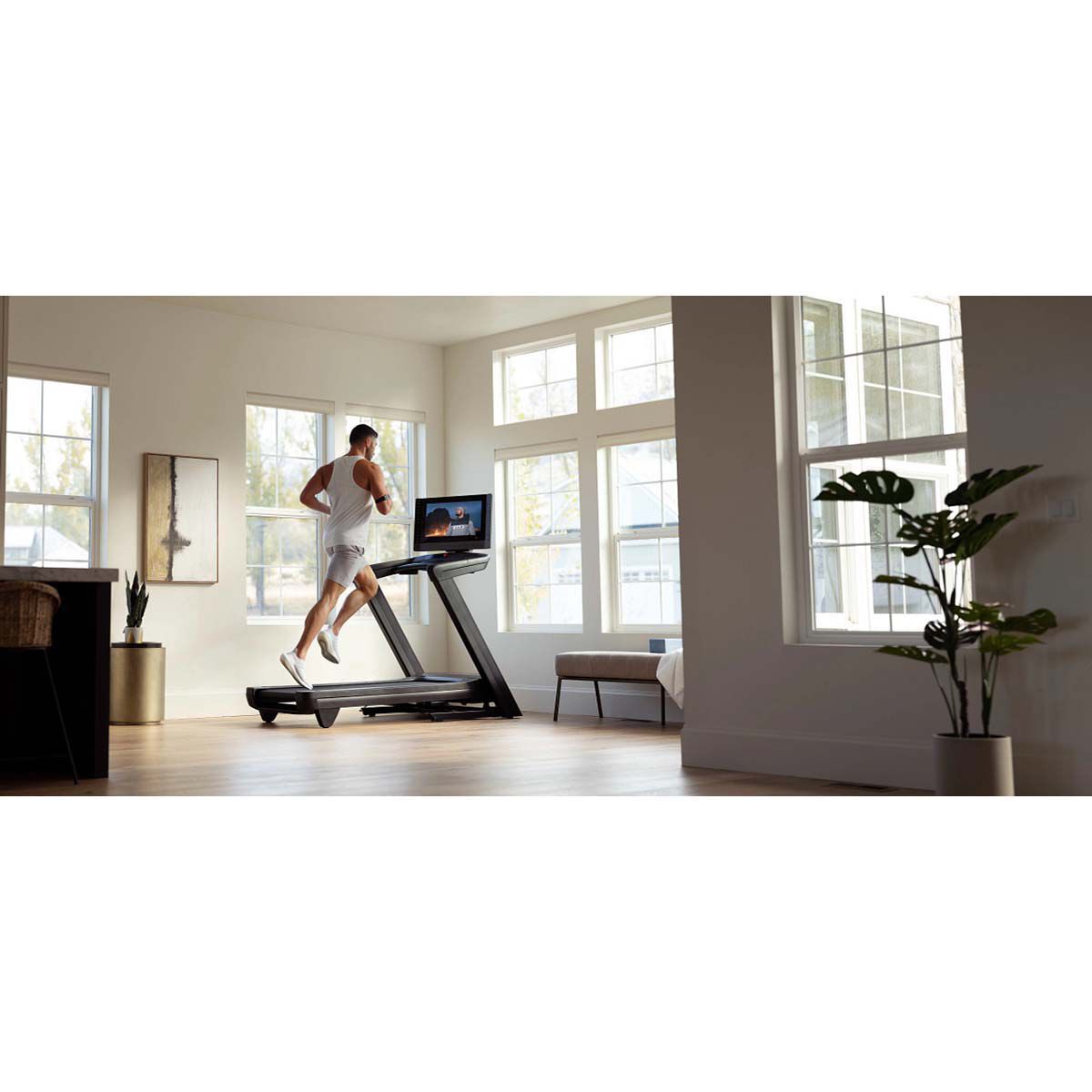 NordicTrack Commercial 2450 Treadmill with 30-day iFit Membership with Purchase
