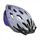 Purple/Silver