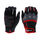 Red/Black