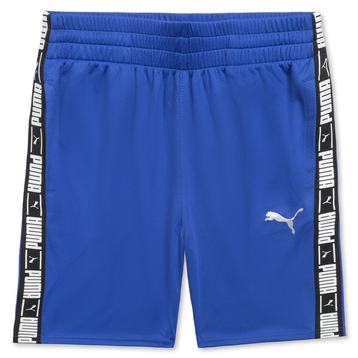 Puma Boys' Logo Taping Mesh Shorts