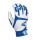 White/Royal