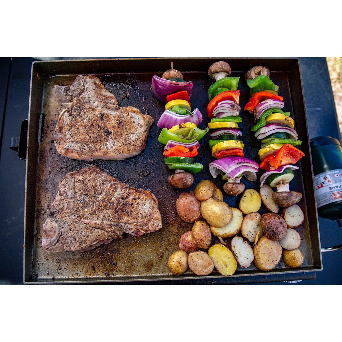 Pitboss Single Burner Tabletop Griddle