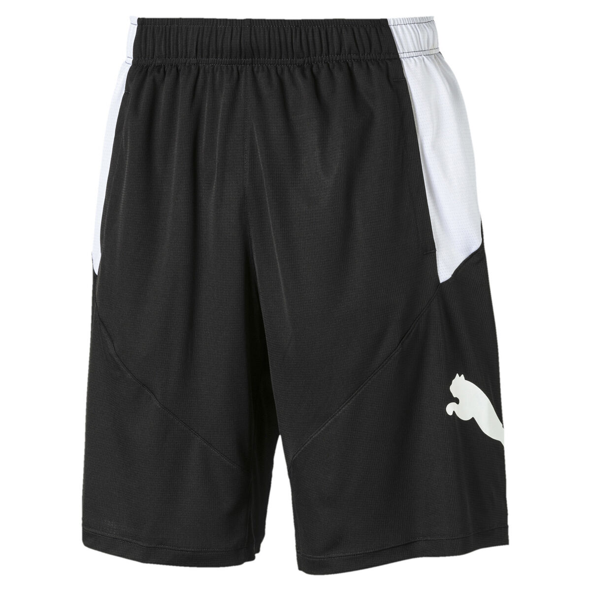 Puma Men's Puma Cat Shorts
