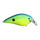 Chartreuse/Blue
