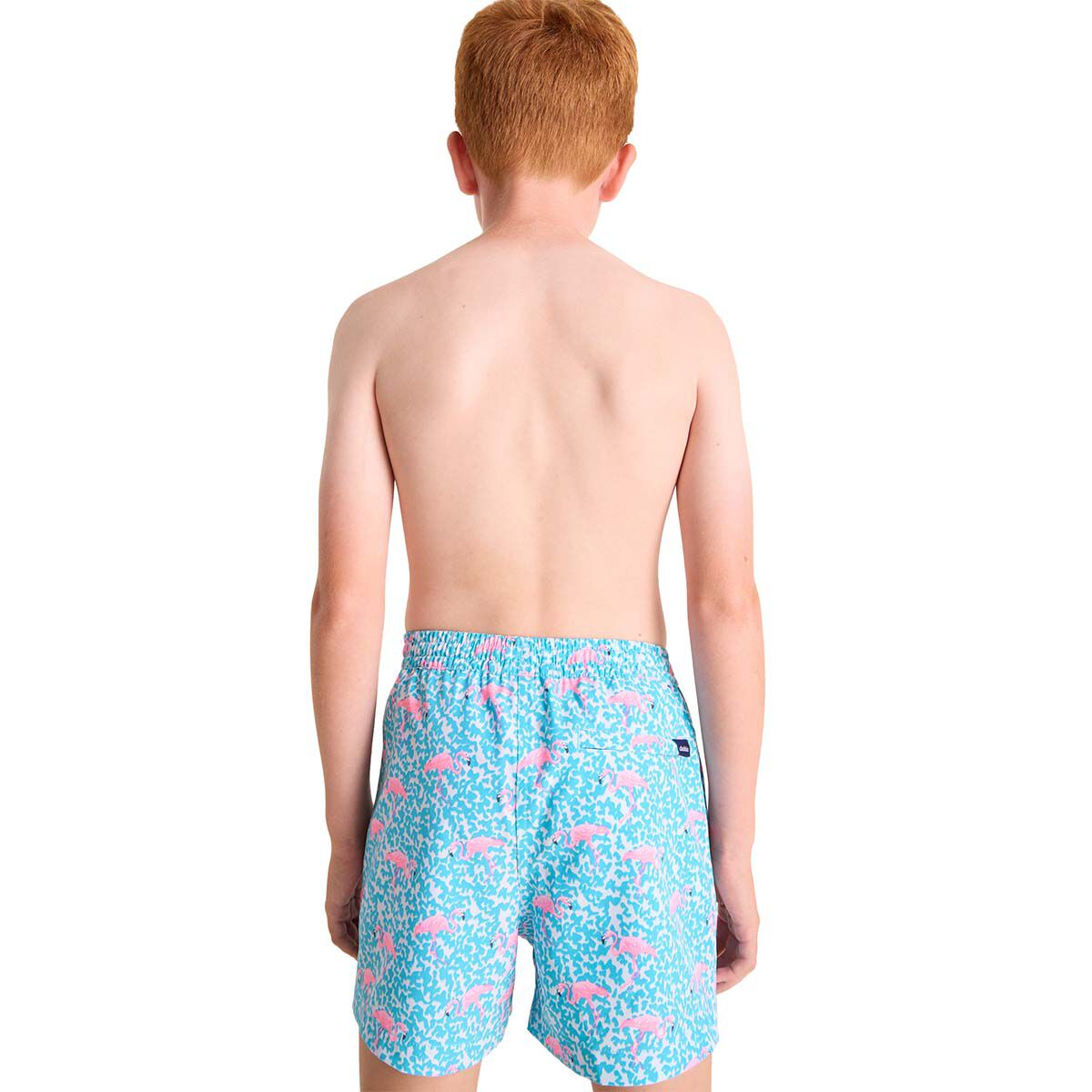 Chubbies Boys' Domingos Are For Flamingos Lined Classic Swim Trunk- Shorter