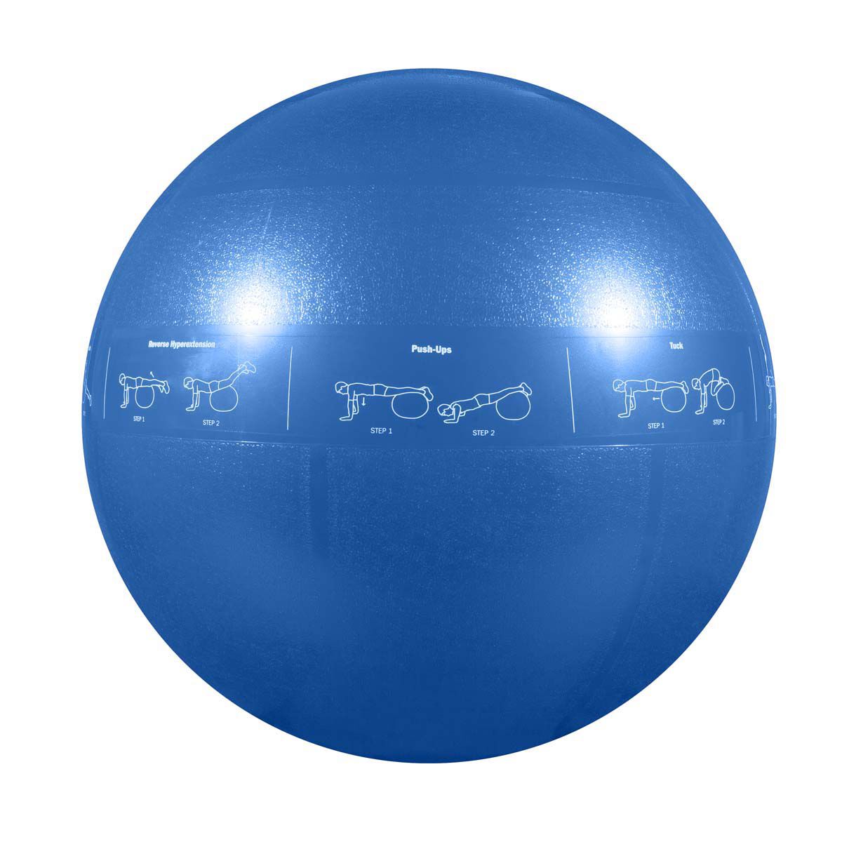 Go Fit 55cm Stability Ball with Guide