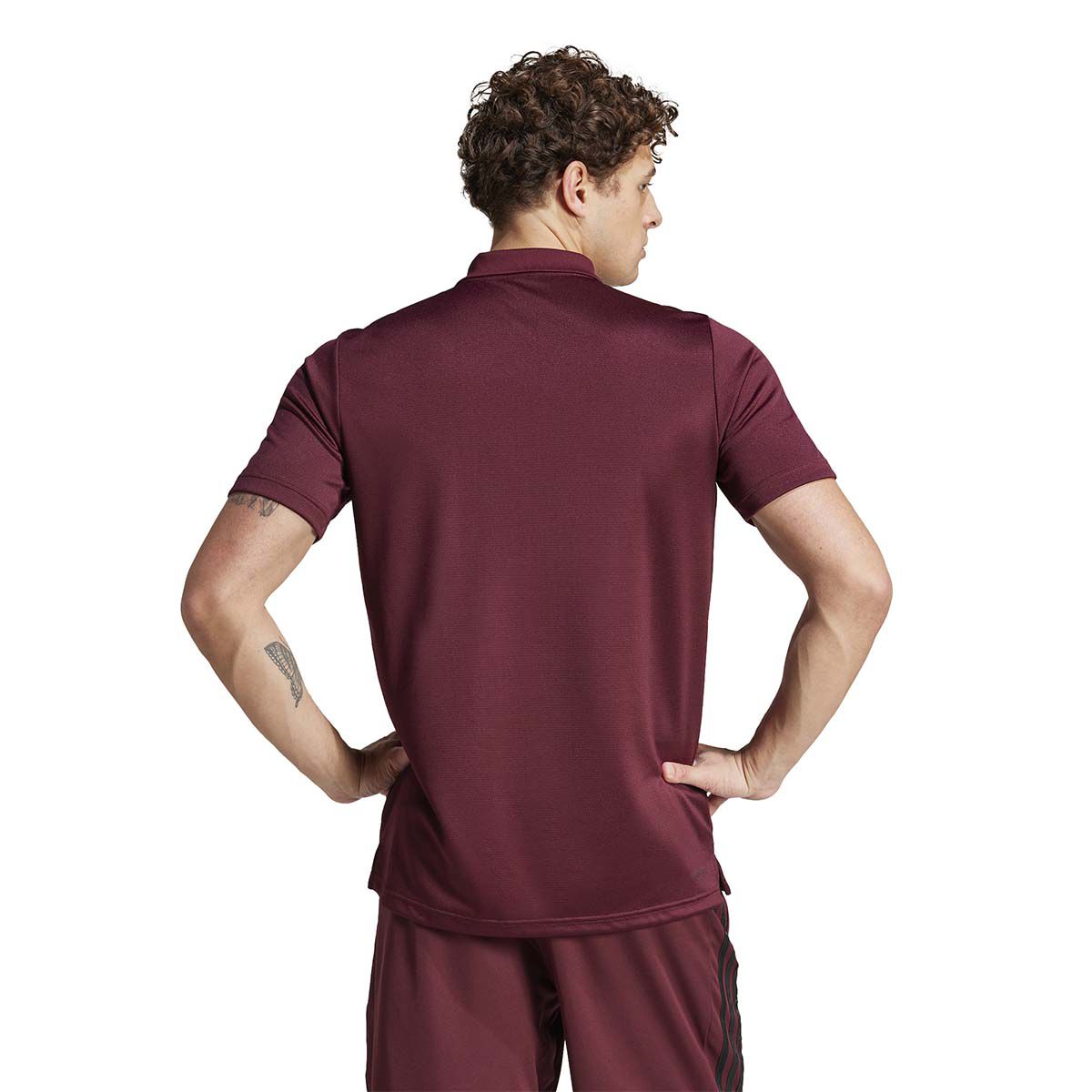 adidas Men's Train Essentials Training Polo Shirt