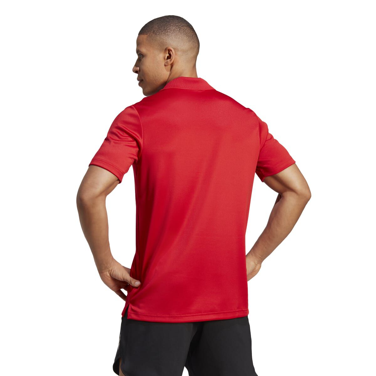 adidas Men's Designed To Move 3-Stripes Polo Shirt