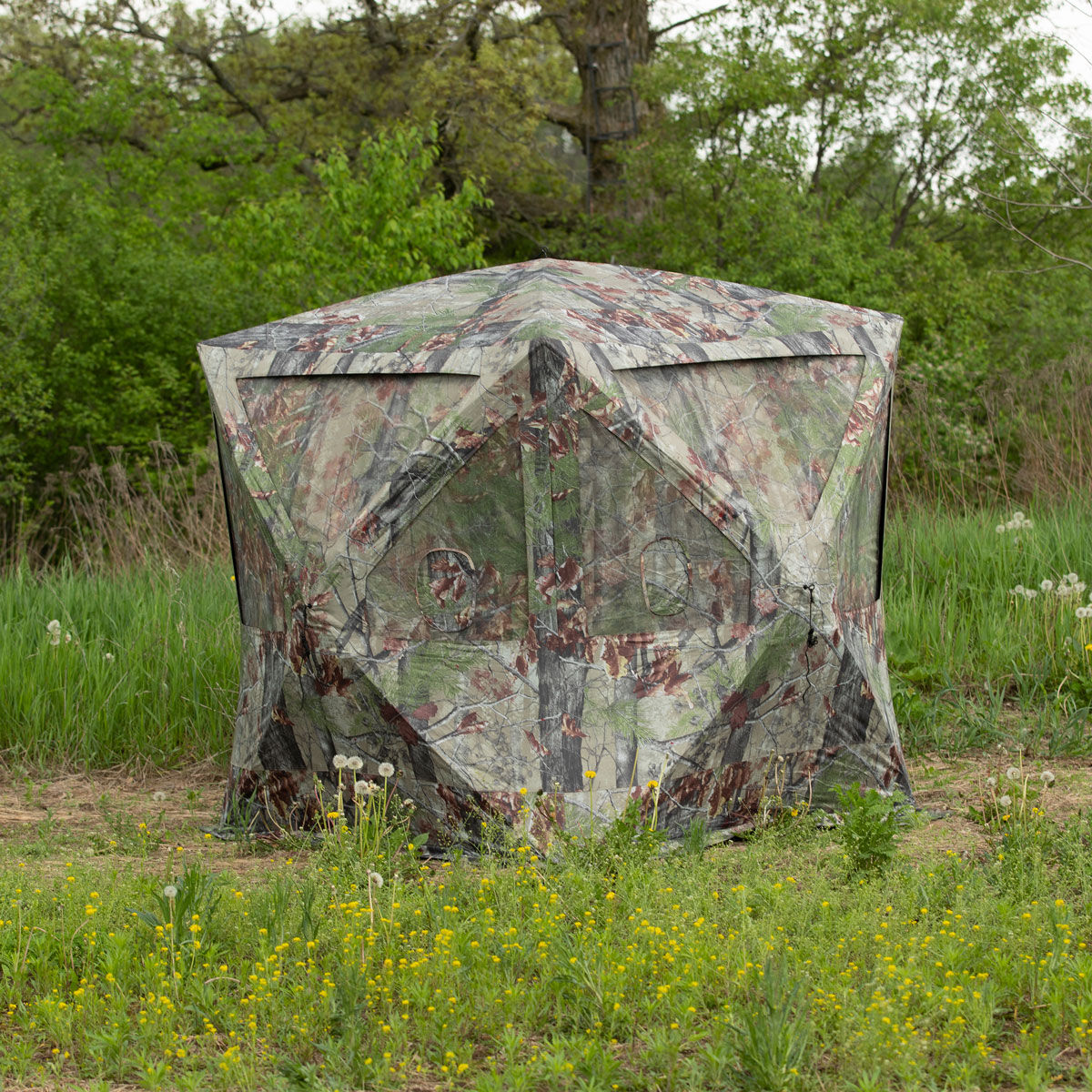 Barronett Big Cat Backwoods Camo Blind