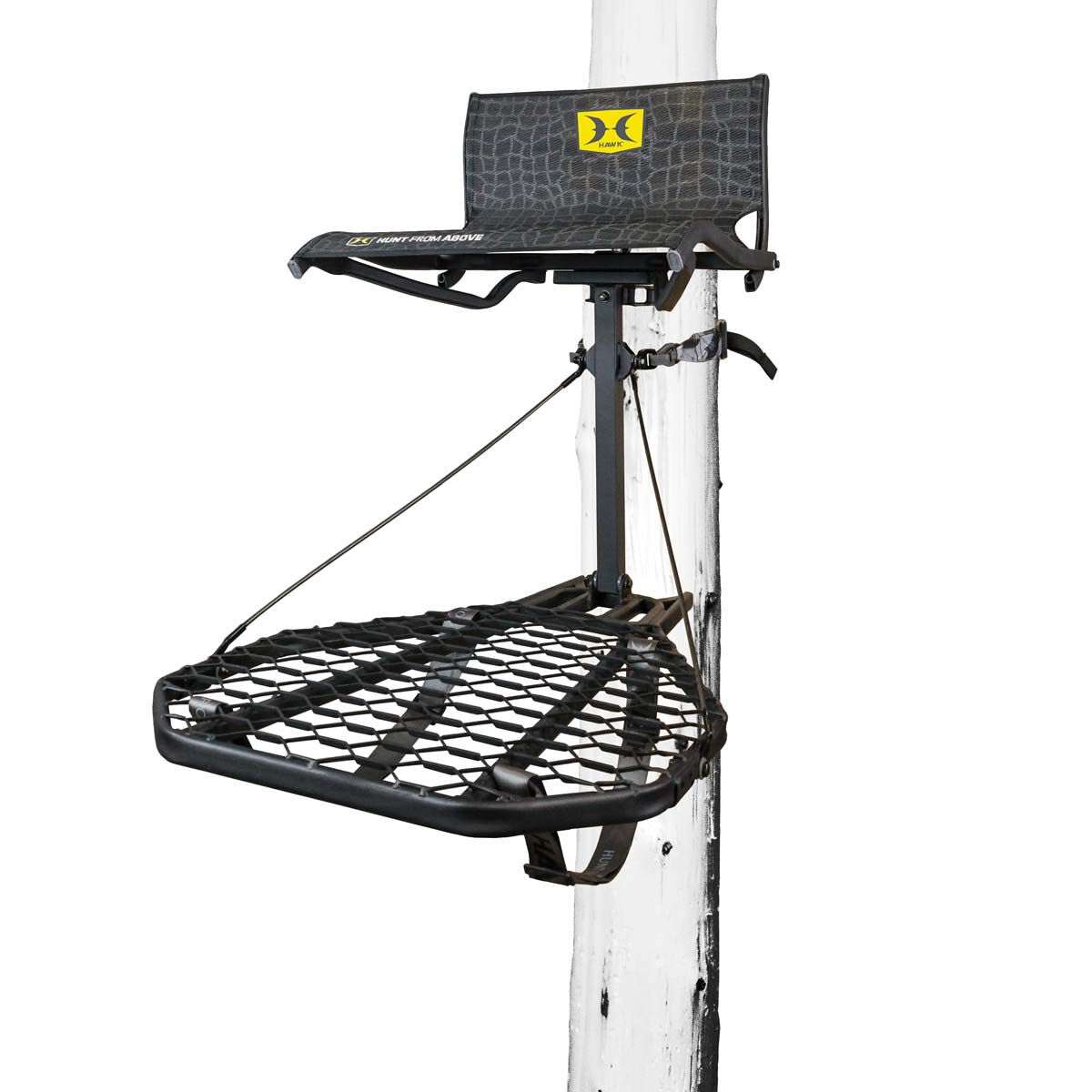 Hawk Hawk Cruzr Hang-on