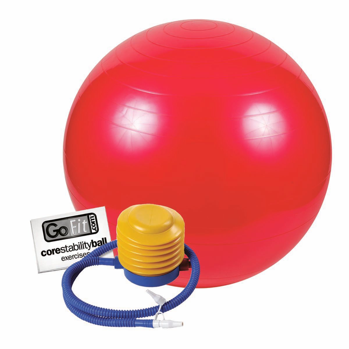 Go Fit 55cm 1000lb Capacity Exercise Ball with Pump & Training Poster