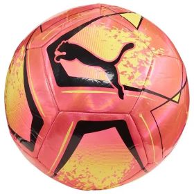 Puma Cage Ball
