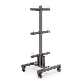 Marcy 6-Peg Olympic Plate Tree and Bar