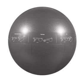 Go Fit 75cm Guide Ball-Pro Grade 2000lb Stability Ball with Printed Exercises, DVD Training Manual   Pump